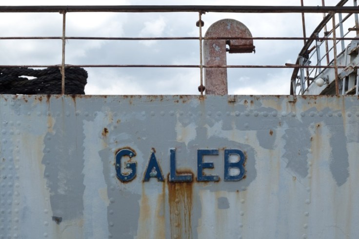 Galeb schild
