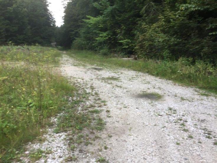 Srnetica ua BuH August 2018 (249)