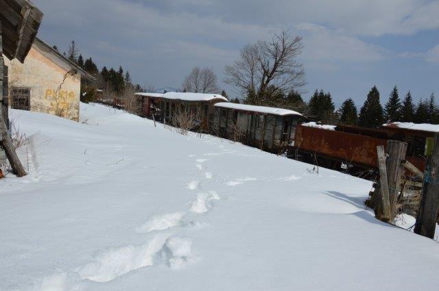 BuH Mlinista 3 18 Zug (157)