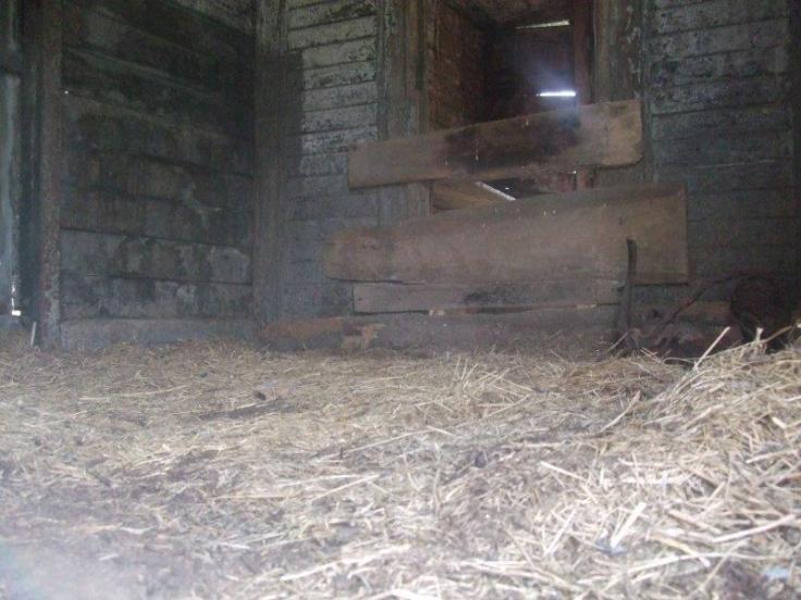 BuH Mlinista Zug Fruehjahr (114)