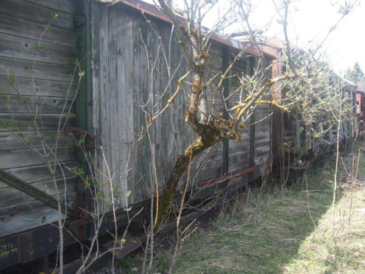 BuH Mlinista Zug Fruehjahr (76)