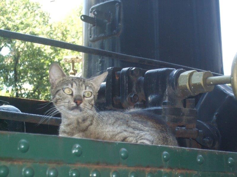 SRB Zlatibor Juli 2017 (416)