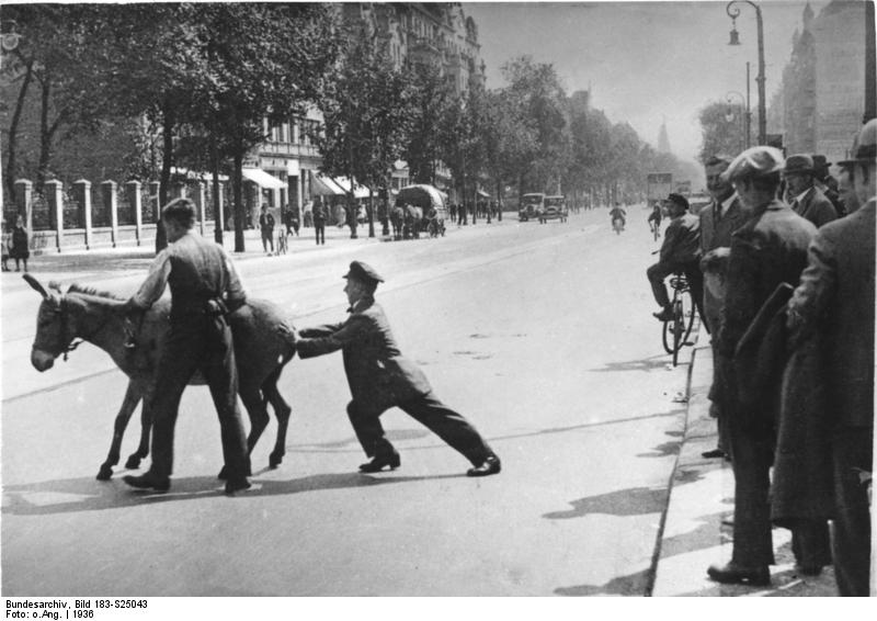 Berlin, störrischer Esel